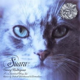 image cover: Benny Rodrigues - It's A Spiritual Thing EP [SUARA041]