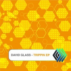 image cover: David Glass - Trippin EP [PSR019]