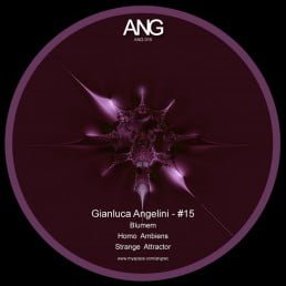 image cover: Gianluca Angelini Ang#15 [ANG015]