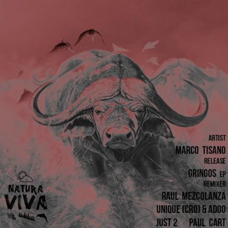 image cover: Marco Tisano - Gringos Ep [NAT110]