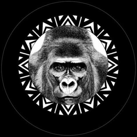 image cover: Patch Park - Monkey Trouble [MM105]