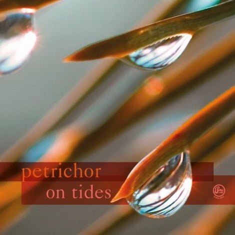 image cover: Petrichor - On Tides [SOMA364D]