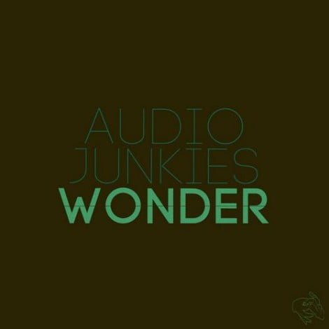 image cover: Audio Junkies - Wonder [RTCH007]