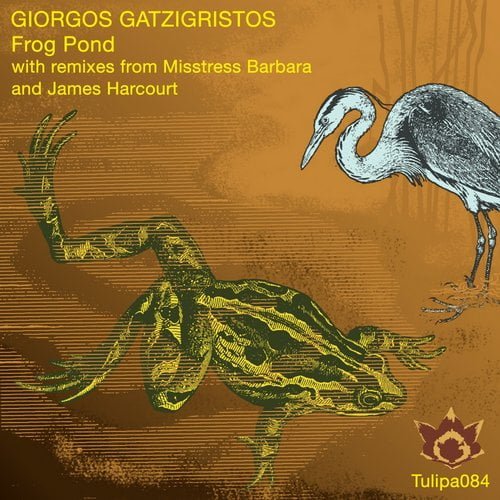 image cover: Giorgos Gatzigristos - Frog Pond [Tulipa Recordings]