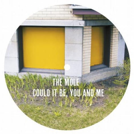 image cover: The Mole - Could It Be You and Me [MT002]