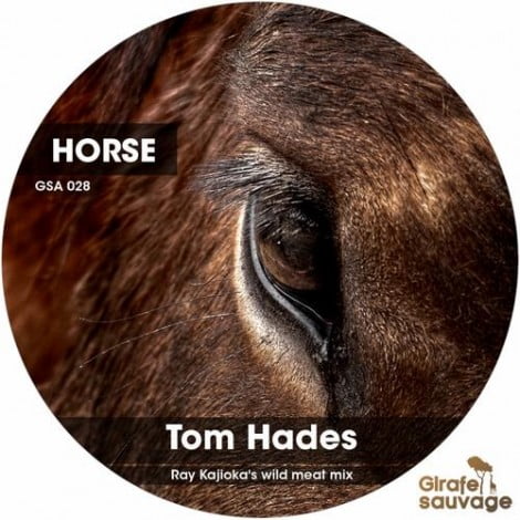 image cover: Tom Hades - Horse [GSA028]