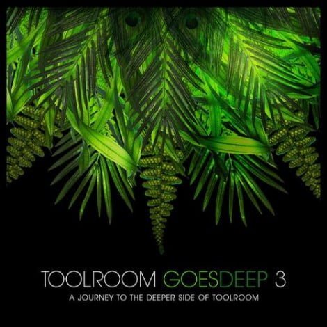 image cover: VA - Toolroom Goes Deep 3 [TOOL18202Z]