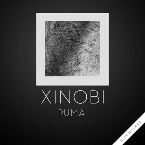 image cover: Xinobi - Puma [DT033]