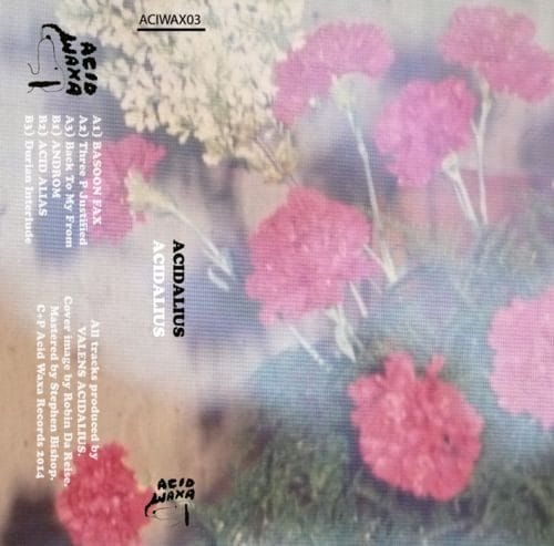 ACIDALIUS – Acidalius