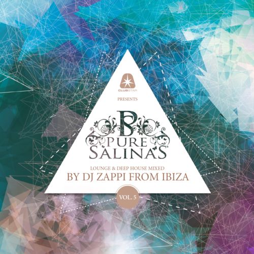 image cover: VA - Pure Salinas Vol. 5