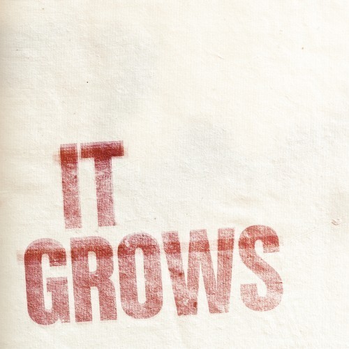 image cover: WHYT NOYZ - It Grows EP [Minus]