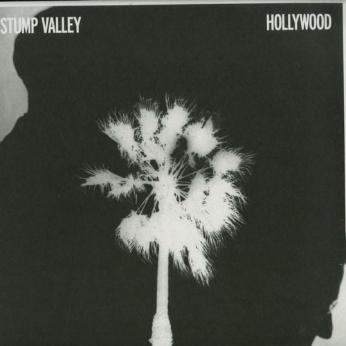 image cover: Stump Valley - Hollywood