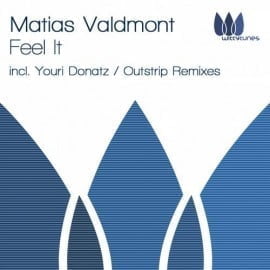 electrobuzz21 Matias Valdmont - Feel It [WT058]