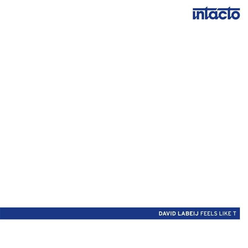 image cover: David Labeij - Feels Like T [INTAC029]