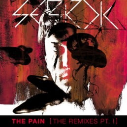 image cover: Sebrok - The Pain Remixes Part I [PASO027D]