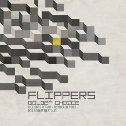 image cover: Flippers - Golden Choice (Andrea Roma Remix) [BTRDR031]