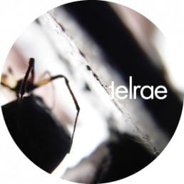 image cover: Deepchild, Stefan Gubatz – Reworks Pt.3 [TELRAE003]