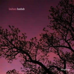 image cover: Lauhaus - Baobab [BANG014]