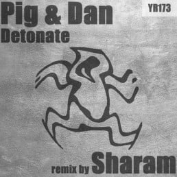 image cover: Pig And Dan - Detonate [YR173]