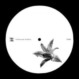 image cover: Lucy - Beelines For Working Bees [SA008]