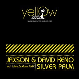 image cover: David Keno, Jaxson - Silver Palm [YT050]