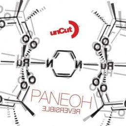 image cover: Paneoh - Reversible [SHUC035]