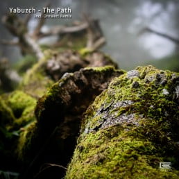 image cover: Yabuzch - The Path [ECC029]