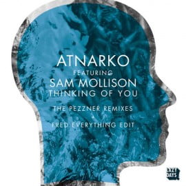 image cover: Atnarko Sam Mollison - Thinking Of You (Pezzner Remixes) [LZD023]