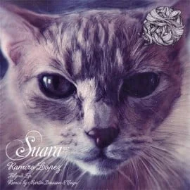 image cover: Ramiro Lopez - Filgud [SUARA037]