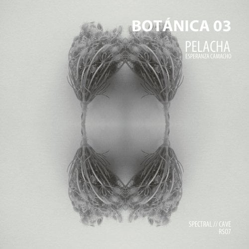 image cover: Pelacha - Botanica 03 [RedSonja]