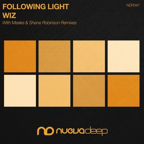 image cover: Following Light - Wiz [Nuevadeep]