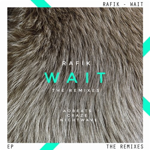 image cover: Rafik - Wait The Remixes EP