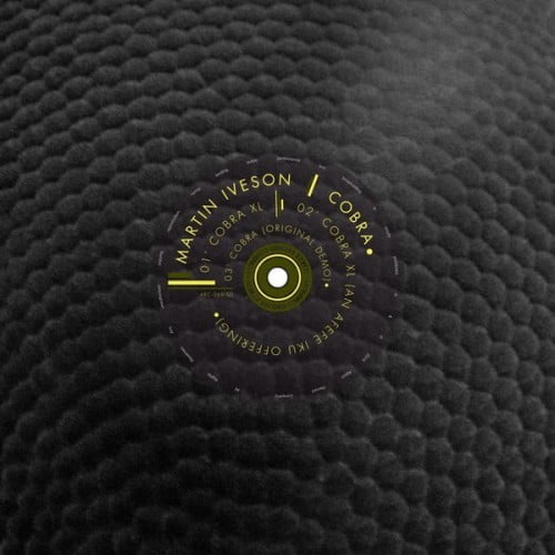 image cover: Martin Iveson - Cobra [Atjazz Record Company]