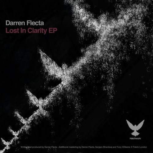image cover: Darren Flecta - Lost In Clarity EP