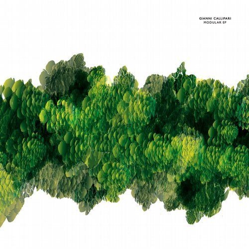 image cover: Gianni Callipari - Modular EP [Cadenza]