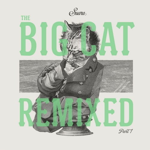 image cover: VA - The Big Cat Remixed Part 1