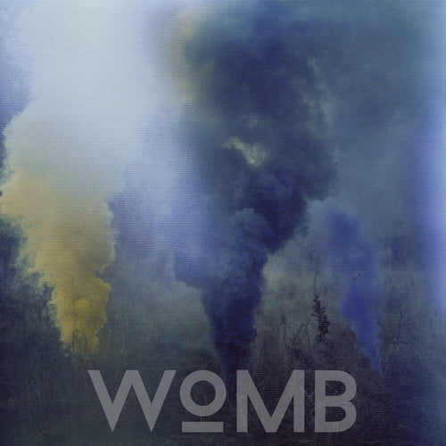 image cover: Hot Since 82 - Womb