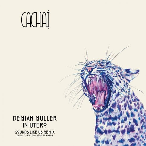 image cover: Demian Muller - In Utero [CACH001]