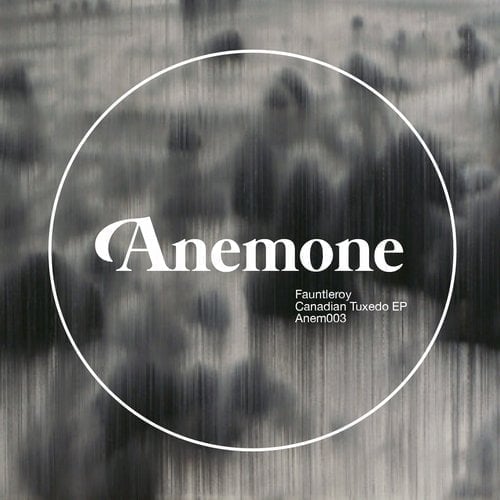 image cover: Fauntleroy - Canadian Tuxedo EP [Anemone]