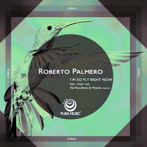 image cover: Roberto Palmero - Im So Fly Right Now [Pura]