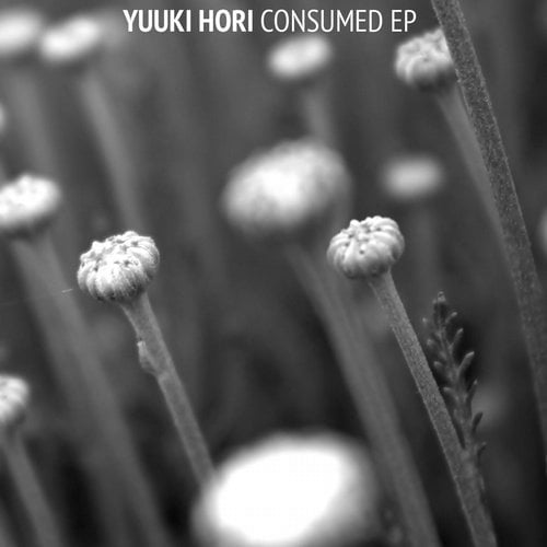 image cover: Yuuki Hori - Consumed