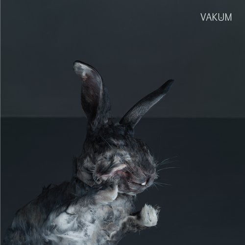 image cover: Vakum - Vakum [PLOINK]