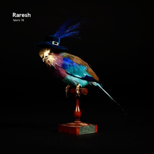 image cover: VA - Fabric 78: Raresh [Fabric]