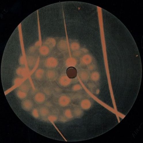 DMO & Vex – VEX / DMO
