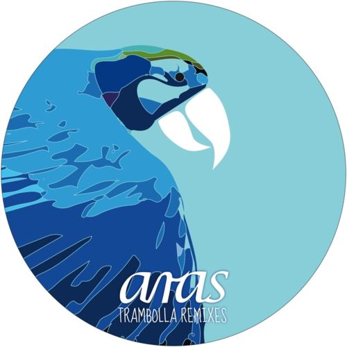 image cover: Andre Galluzzi, Dana Ruh - Trambolla Remixes [ARAS]