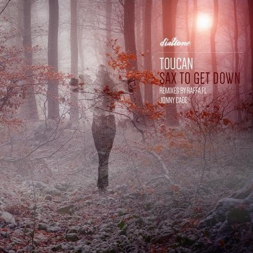 image cover: Toucan - Sax To Get Down [DT093]