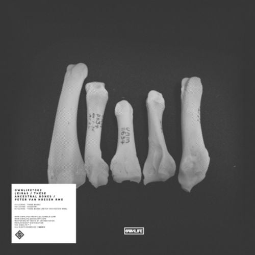 image cover: Leiras - These Ancestral Bones [Ownlife]