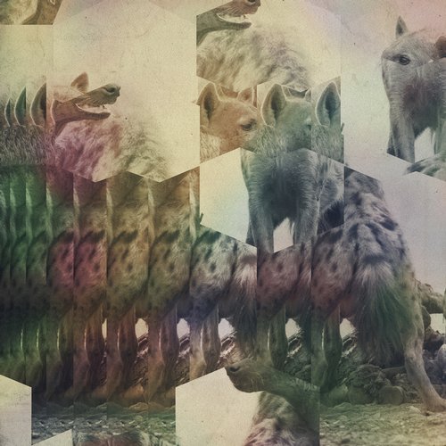 image cover: Hyenah, Aquarius Heaven - Tale From The Dirt [Freerange]