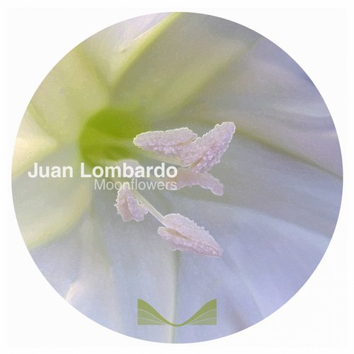 image cover: Juan Lombardo - Moonflowers [SHM111]