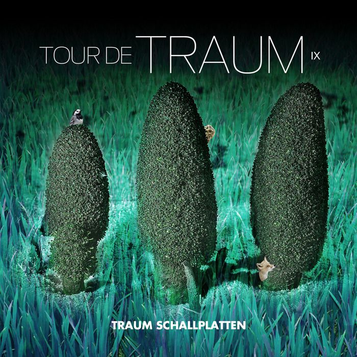 image cover: VA - Tour De Traum IX [Traum]